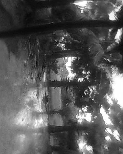 A grainy monochrome memory photograph