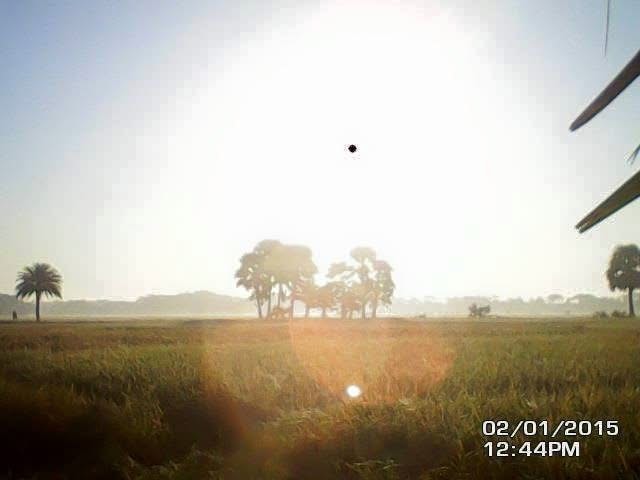 A timestamped rural field beneath bright evening light