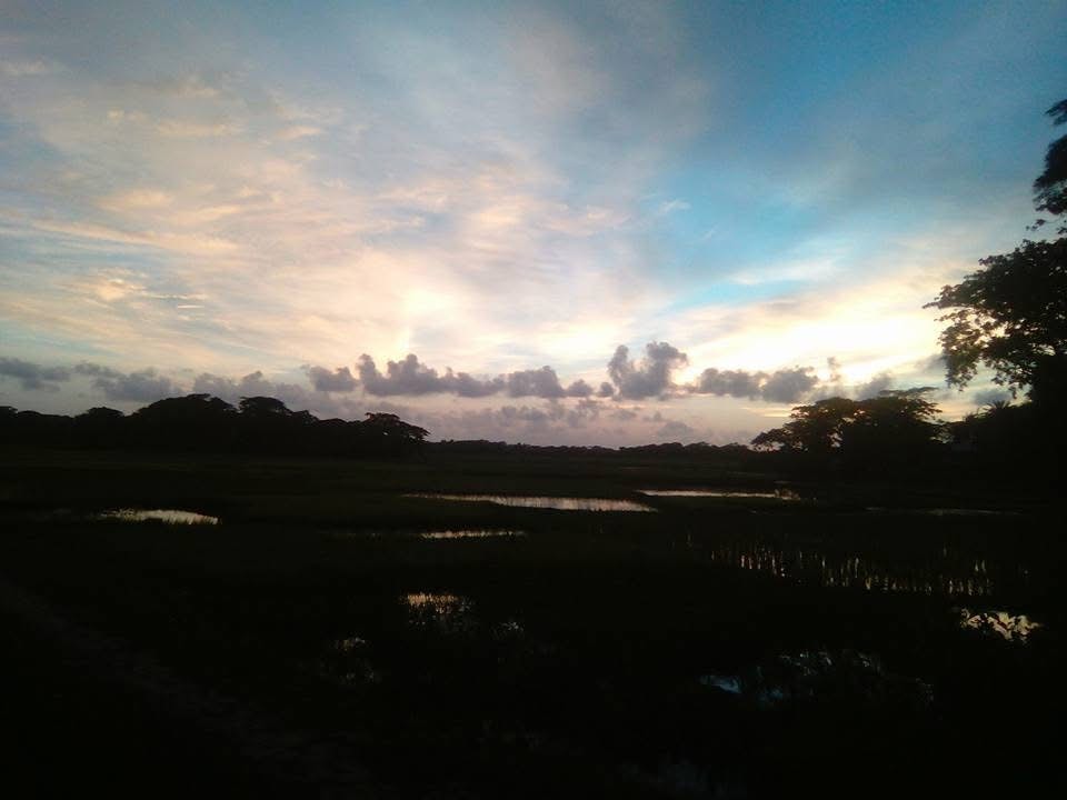 An open field beneath the fading light after sunset