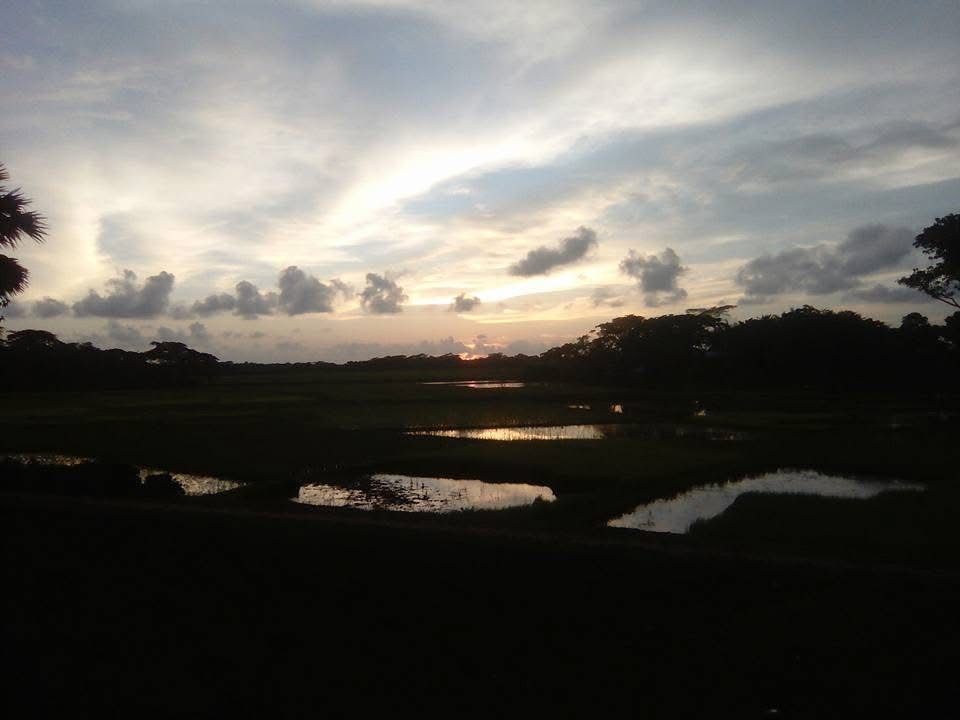 Last sunlight falling across an open field