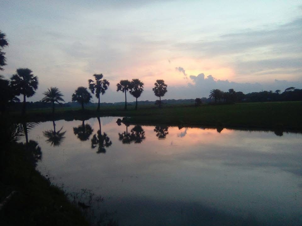 Palm trees reflected in still water at sunset