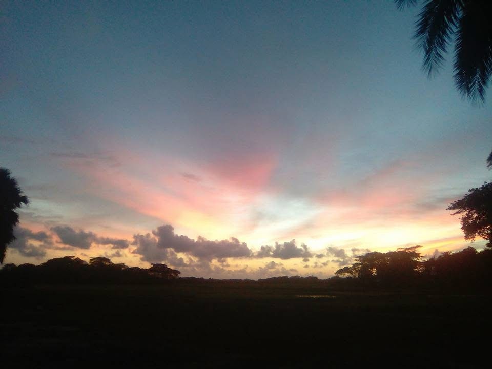 Pink sunset clouds above a rural field
