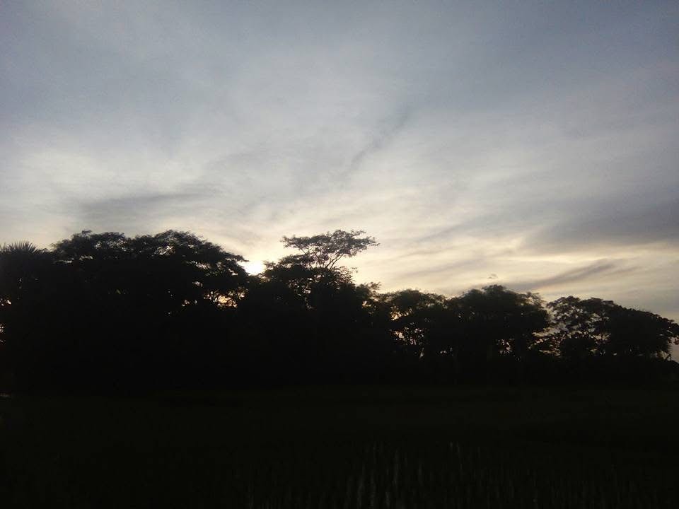 A silhouetted tree line beneath an evening sky